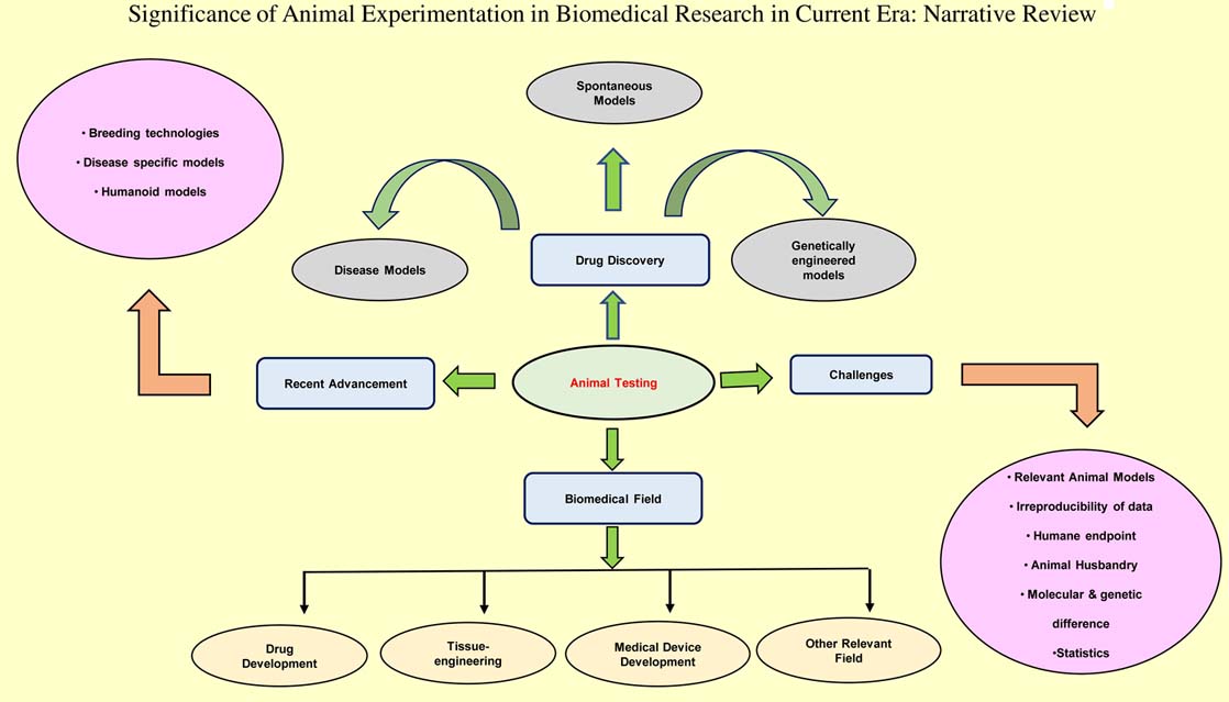 Graphical Abstract